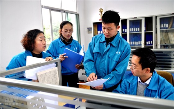 皖南電機內審人員在部門審核 皖南電機內審人員在部門審核