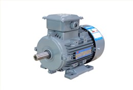 YXL系列高效率鋁機(jī)殼三相異步電動機(jī)