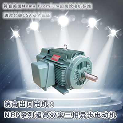皖南電機(jī)-NEP系列超高效電機(jī) 皖南電機(jī)-NEP系列超高效電機(jī)