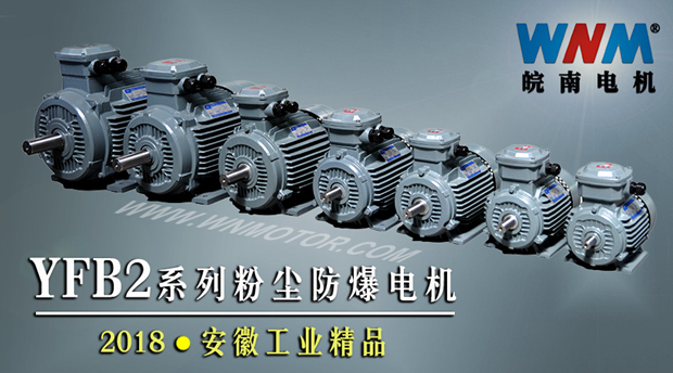YFB2系列粉塵防爆型電機(jī)入選2018年安徽工業(yè)精品名單 YFB2系列粉塵防爆型電機(jī)入選2018年安徽工業(yè)精品名單